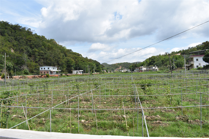 吉鴻基地